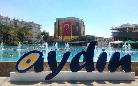 Aydın’ın En İyi Uzman Çocuk Doktorları ve İletişim Bilgileri