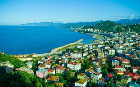 Giresun’un En İyi Uzman Çocuk Doktorları ve İletişim Bilgileri