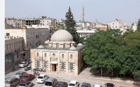 Kilis’in En İyi Uzman Çocuk Sağlığı Kurumları ve Doktor Bilgileri