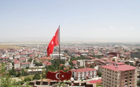 Muş’un En İyi Uzman Çocuk Doktorları ve İletişim Bilgileri
