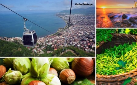 Ordu’nun En İyi Uzman Çocuk Doktorları ve İletişim Bilgileri