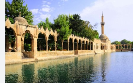Şanlıurfa’nın En İyi Uzman Çocuk Doktorları ve İletişim Bilgileri