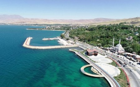 Van’ın En İyi Uzman Çocuk Doktorları ve İletişim Bilgileri
