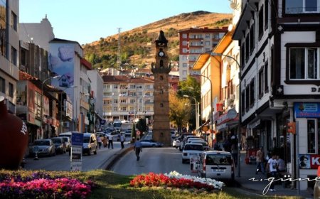 Yozgat’ın En İyi Uzman Çocuk Doktorları ve İletişim Bilgileri