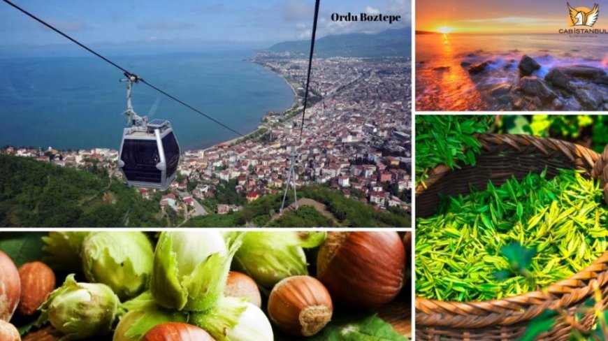 Ordu’nun En İyi Uzman Çocuk Doktorları ve İletişim Bilgileri